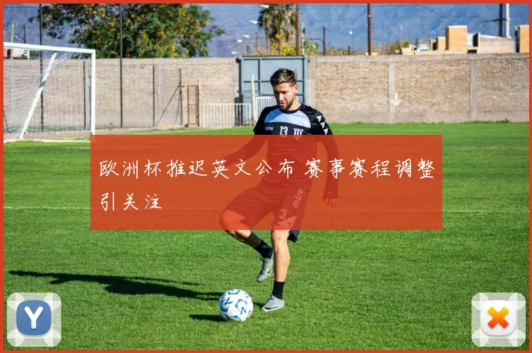 欧洲杯推迟英文公布 赛事赛程调整引关注