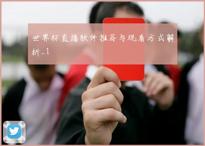 世界杯直播软件推荐与观看方式解析_1