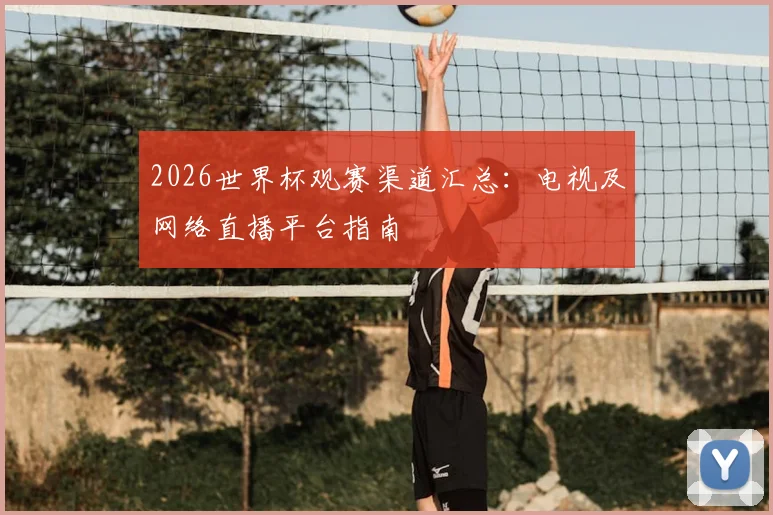 2026世界杯观赛渠道汇总:电视及网络直播平台指南