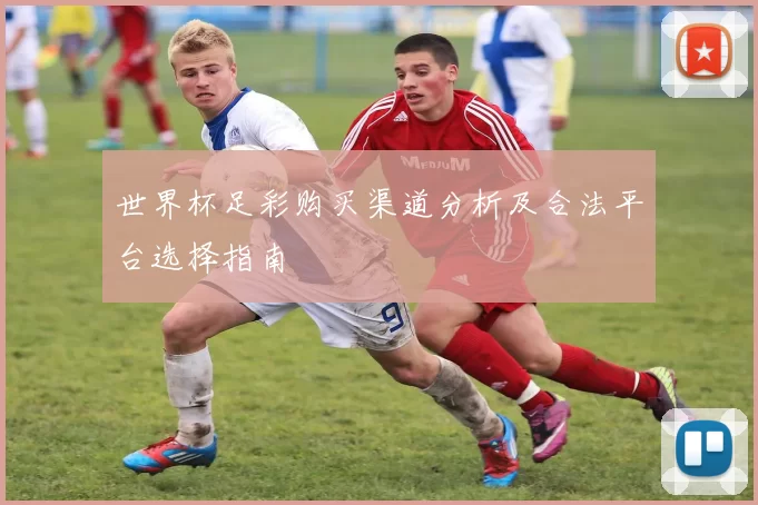 世界杯足彩购买渠道分析及合法平台选择指南
